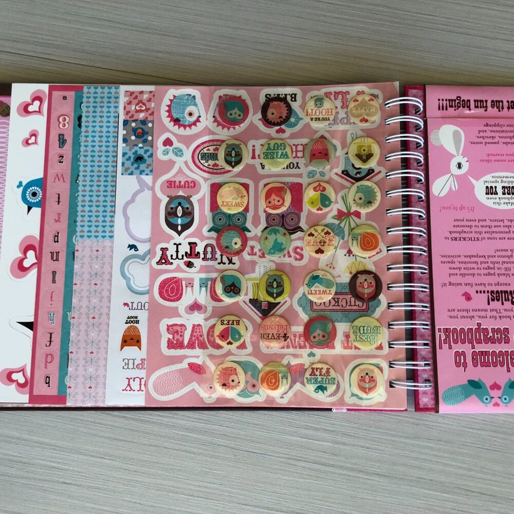 Owl Scrapbook - Picture 13 of 14